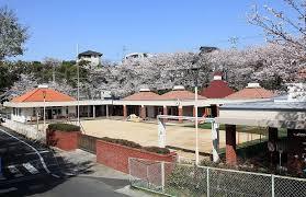 幼稚園・保育園　わかみや保育園（幼稚園・保育園）まで954m