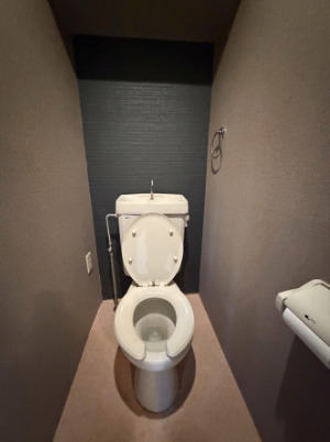 トイレ　トイレもきれいです