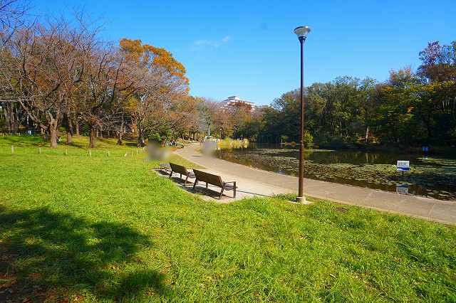 公園　せせらぎ公園（公園）まで334m