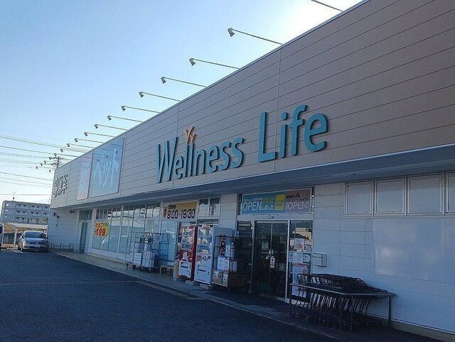 ドラックストア　ウェルネスライフ佐久北中込店（ドラッグストア）まで250m