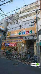 ドラックストア　どらっぐぱぱす新江戸川橋店（ドラッグストア）まで810m