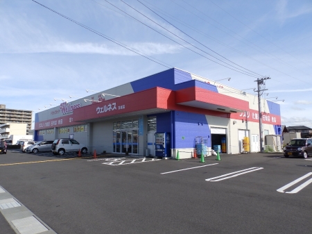 ドラックストア　ウェルネス吉成店（ドラッグストア）まで655m