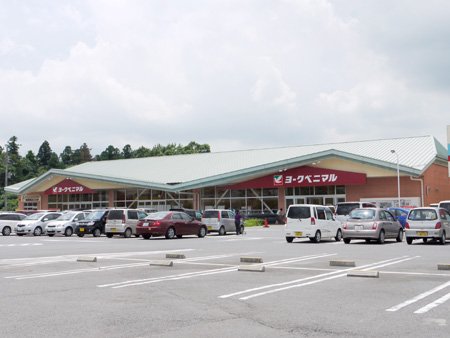 スーパー　株式会社ヨークベニマル豊里店（スーパー）まで1000m