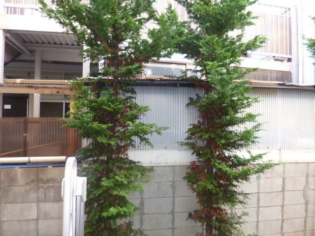 眺望　バルコニーから見た景色です。