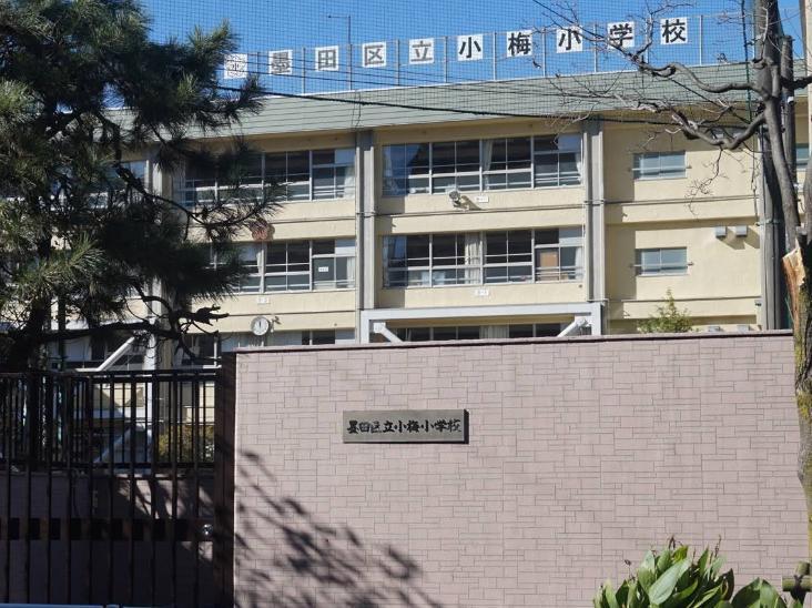 小学校　墨田区立小梅小学校（小学校）まで300m