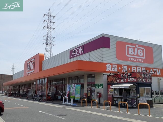 スーパー　ザ・ビッグ奥田南店（スーパー）まで100m