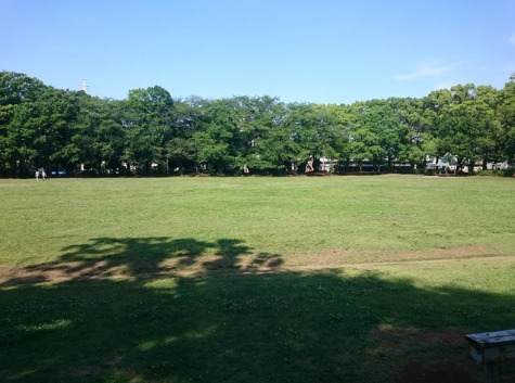 公園　千代田公園（公園）まで1325m