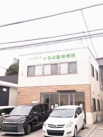病院　いなば動物病院（病院）まで846m
