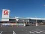 ホームセンター　コメリ ハード＆グリーン小笠店（ホームセンター）まで1100m