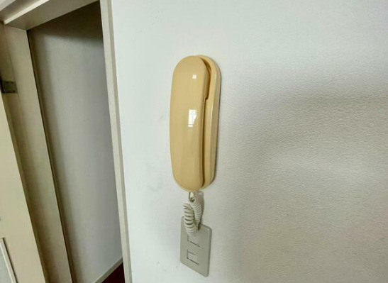 セキュリティ　テレホンインターホンです