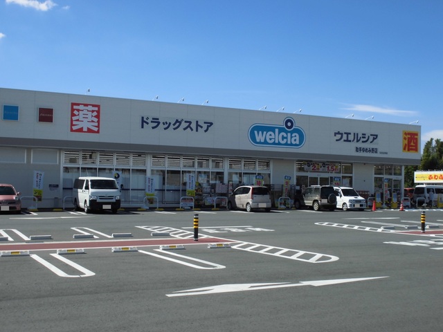 ドラックストア　ウエルシア取手ゆめみ野店（ドラッグストア）まで299m