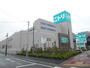 ホームセンター　ニトリ大田大鳥居店（ホームセンター）まで347m