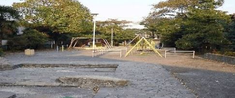 公園　荻窪公園（公園）まで277m
