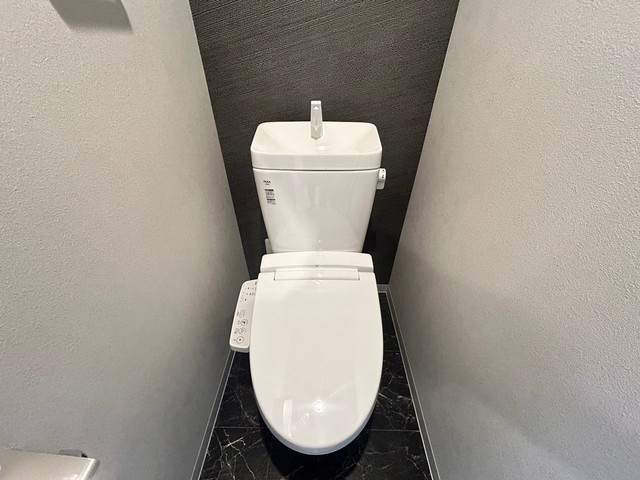 トイレ　写真は違う号室です。