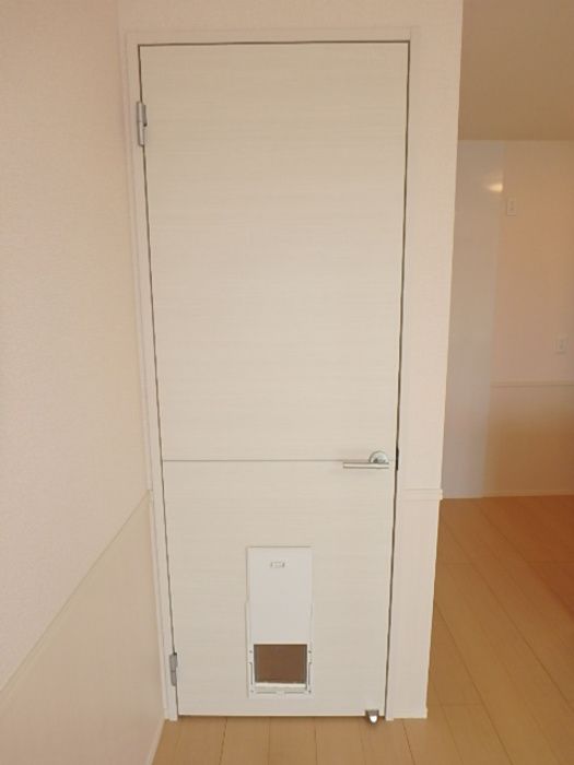 シェーン レジットのその他写真