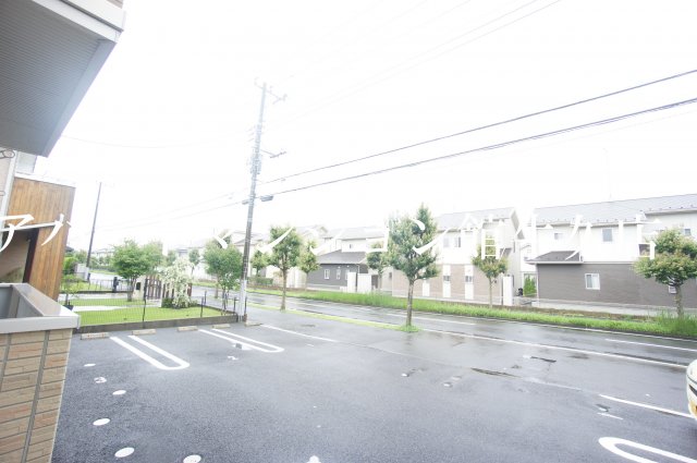 Nadeshikoのその他写真