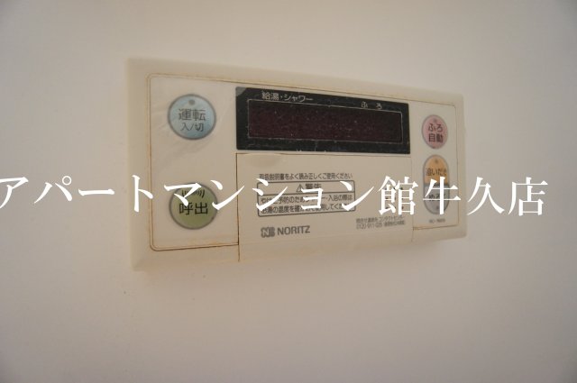 Nadeshikoのその他写真