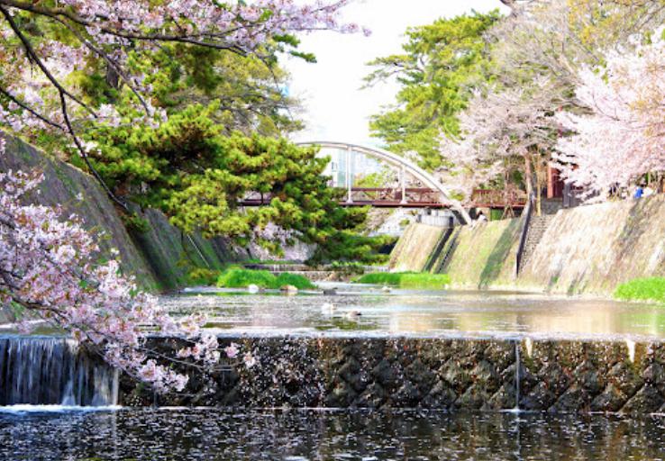 公園　夙川河川敷緑地（公園）まで374m
