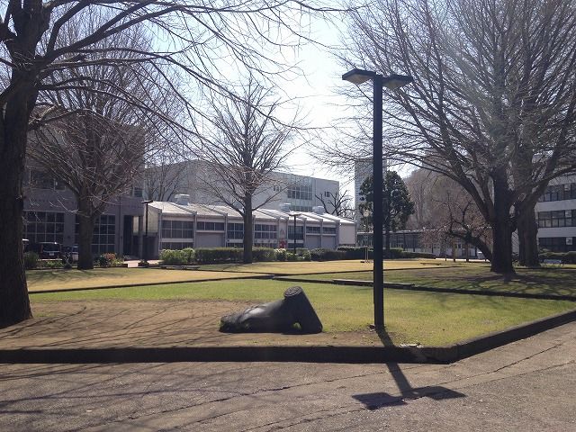 大学・短大　私立多摩美術大学造形表現学部（大学・短大）まで792m