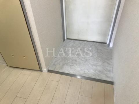 玄関　同物件別部屋です。