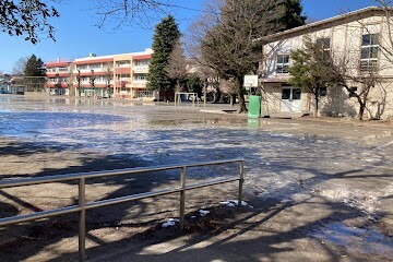 小学校　朝霞市立朝霞第一小学校（小学校）まで730m