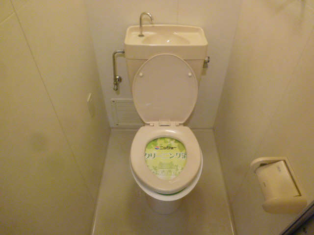 アヴェニューコート栗真B棟のトイレ写真