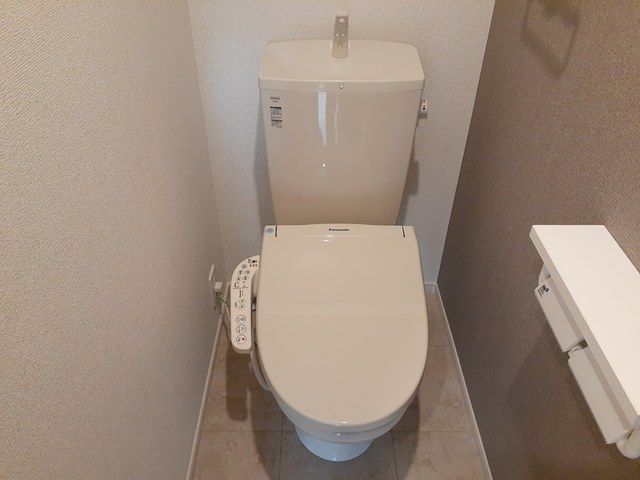 ドミール武生のトイレ写真