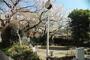 公園　荏原西公園（公園）まで386m
