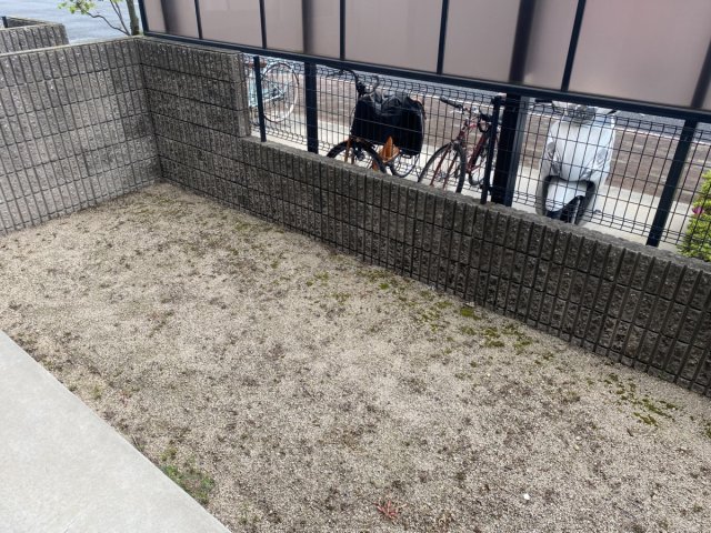 庭