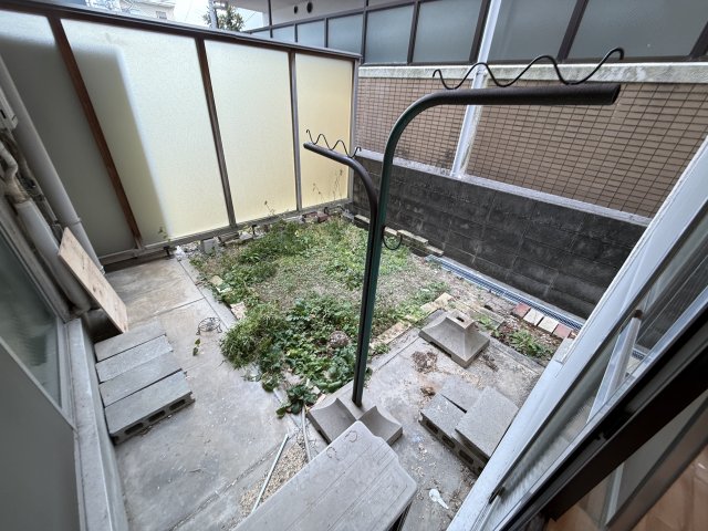 庭
