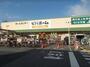 ホームセンター　ビバホーム 奥戸街道店（ホームセンター）まで618m