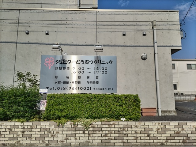 病院　ジュピターどうぶつクリニック（病院）まで700m