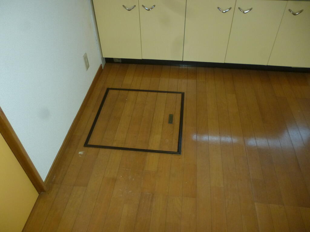 ラッキープレイスAの内装写真