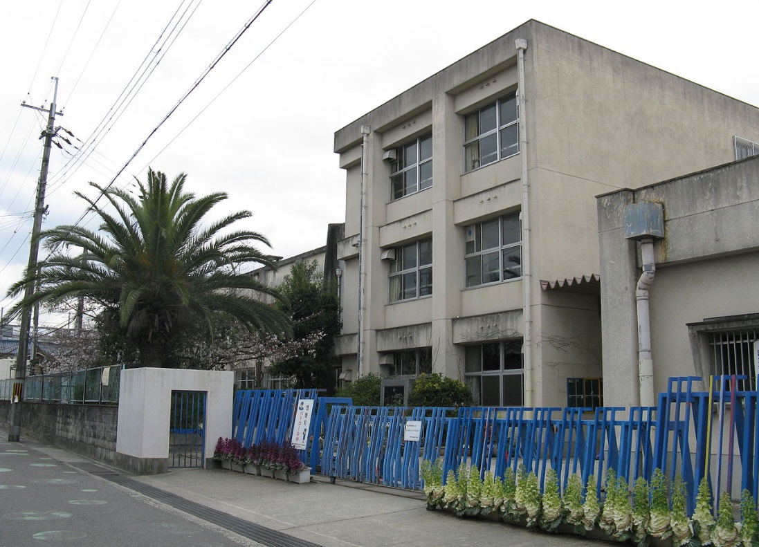 小学校　富田林市立富田林小学校（小学校）まで511m