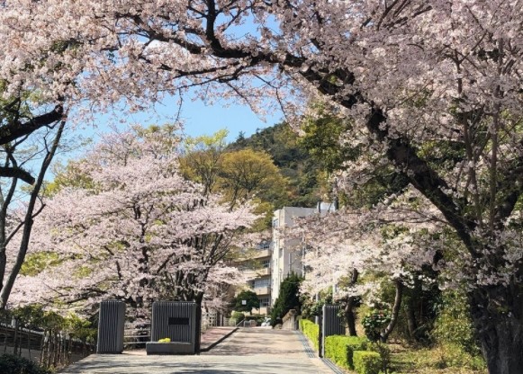 【高岡中村コーポ　パートIIの高校・高専】