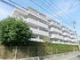 センターハイツ梅ヶ丘 7階 築39年3ヶ月の賃貸物件