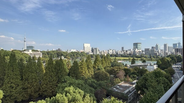 バルコニー　眺望