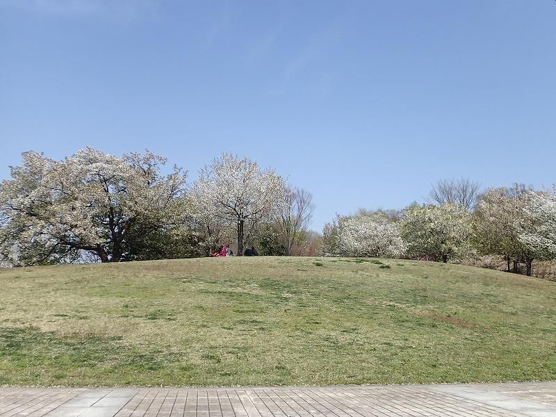 公園　長池公園自然館（公園）まで919m