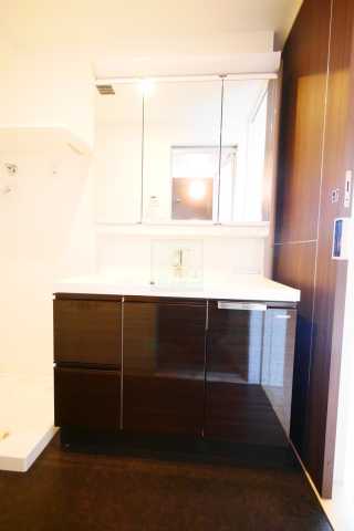 洗面設備　GRAN PASEO本駒込の洗面所