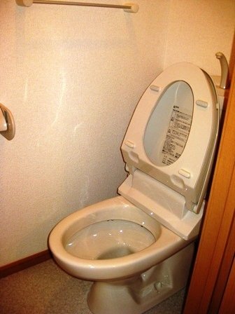 トイレ　トイレも気になるポイント