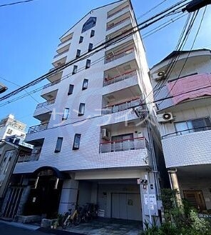 MSコート