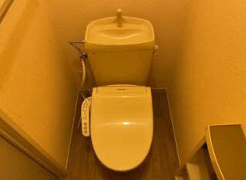 トイレ　画像は別号室。ご参考にどうぞ