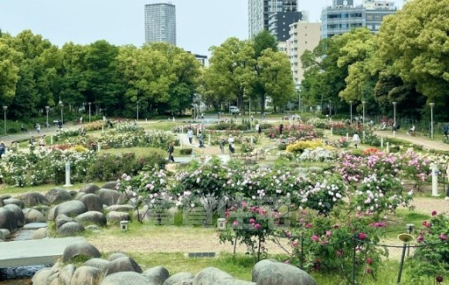 公園　靱公園（公園）まで1527m