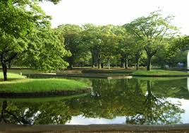 公園　東京都立代々木公園（公園）まで615m