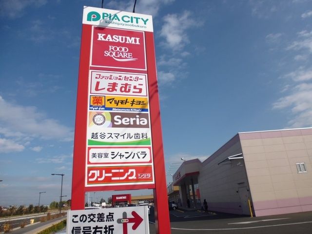 ショッピングセンター　ピアシティ（ショッピングセンター）まで3060m