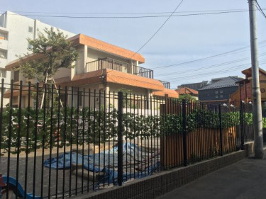 幼稚園・保育園　溝の口もりのこ保育園（幼稚園・保育園）まで255m
