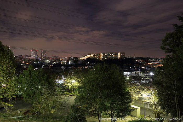 公園　秋葉台公園（公園）まで113m