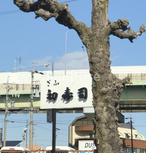 飲食店　初寿司せんい団地分店（飲食店）まで154m