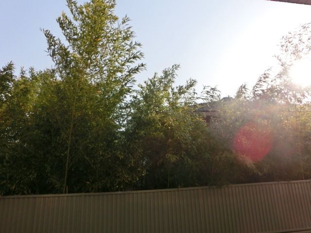 眺望　日当たり良好
