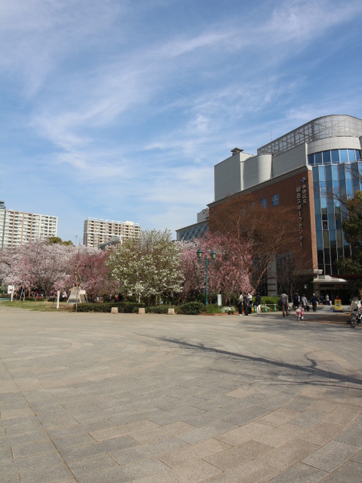 公園　浜町公園（公園）まで640m
